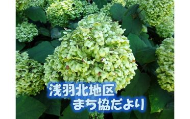 浅羽北地区まち協だより８月号を発行しました