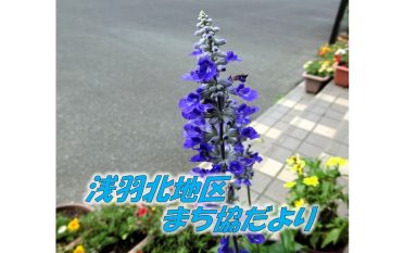 浅羽北地区まち協だより7月号を発行しました。