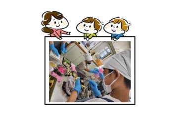 青少年健全育成事業<br>「親子で和菓子づくり」